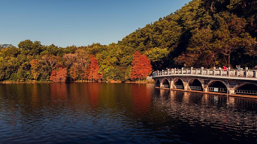 outono, ponte, laranja, lago, agua, arvores