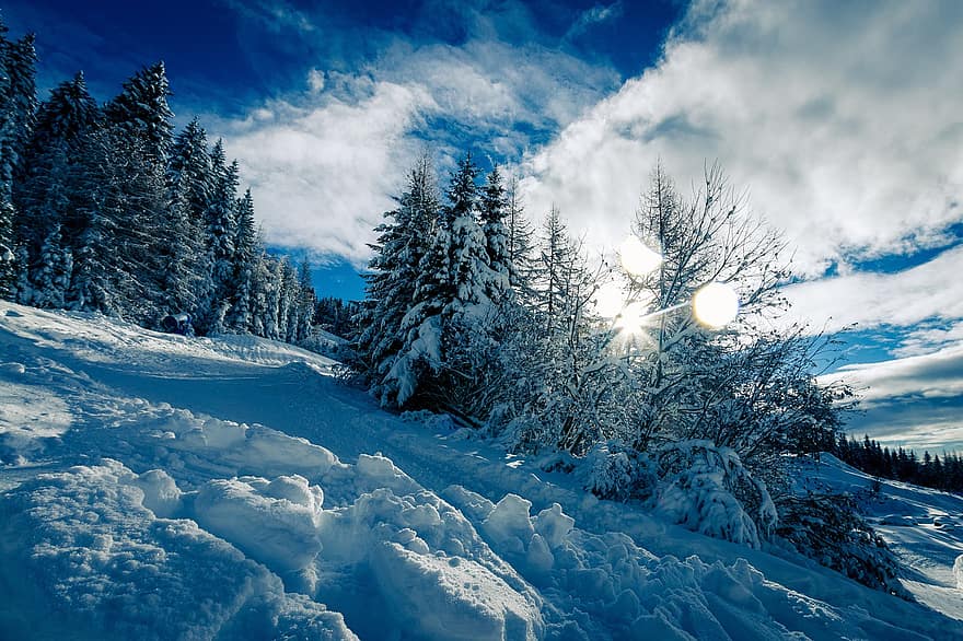 munţi, copaci, pădure, zăpadă, gheaţă, îngheţat, îngheţ, de iarnă, țara minunilor, decembrie