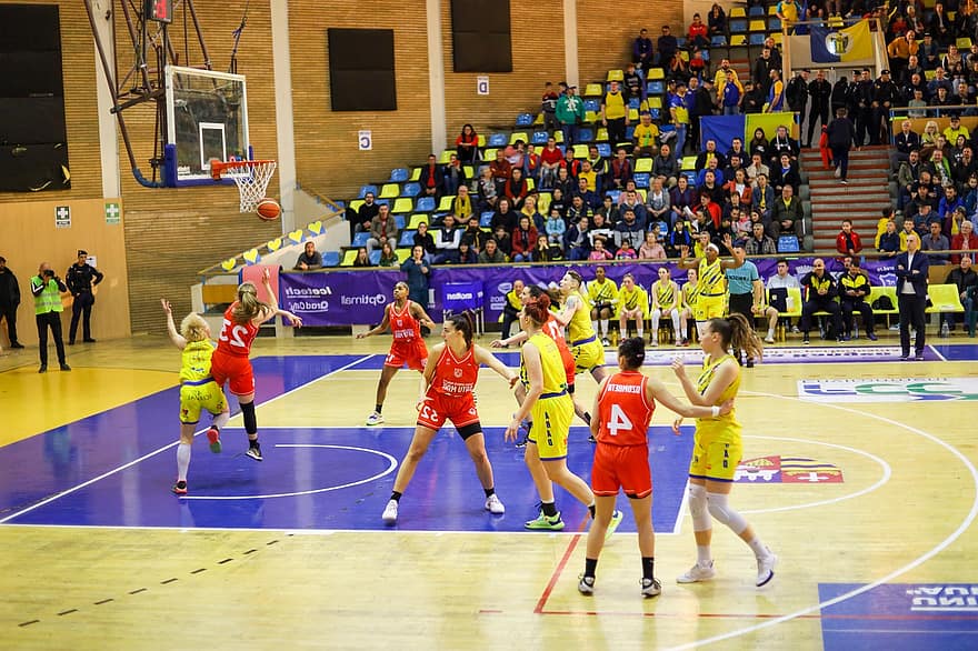 Basketball, Woman, Basket, Sport, Championship, competitive sport, competition, playing, athlete, indoors, sports team