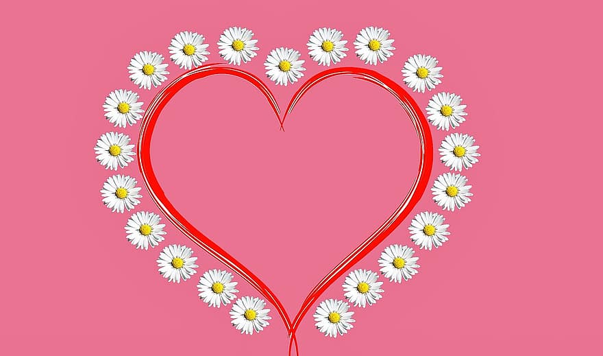 květiny, srdce, milovat, sedmikráska, růžové pozadí, jaro, Příroda, romantika, Pozdrav, den matek, Valentýn