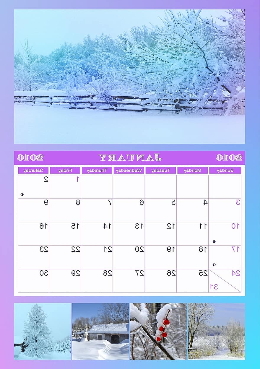 calendario, enero, 2016, Inglés, invierno, fotos, campo