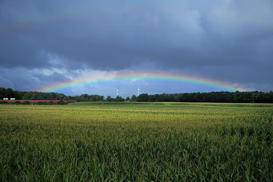 regnbue, falle, høst, skyer, natur, landlig, vindmølle, felt, jordbruk, mørk