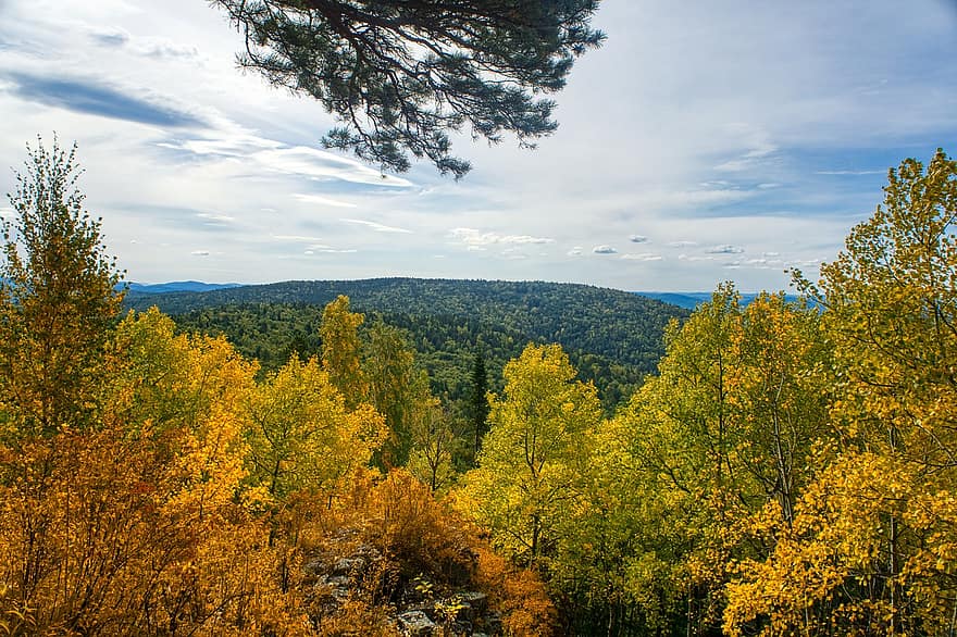 musim gugur, gunung, hutan, kuning, alam, di luar rumah, pohon, musim, keindahan di alam, pemandangan, pemandangan pedesaan