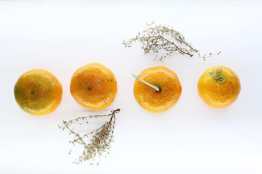 pomeranče, ovoce, citrus, citrusové plody, sklizeň, vyrobit, organický, čerstvý, čerstvé ovoce, čerstvé pomeranče