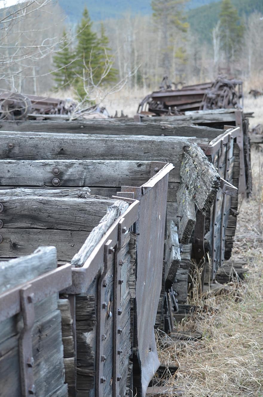 Coal, Cart, Wood, Countryside, forest, timber, industry, rural scene, tree, plank, old