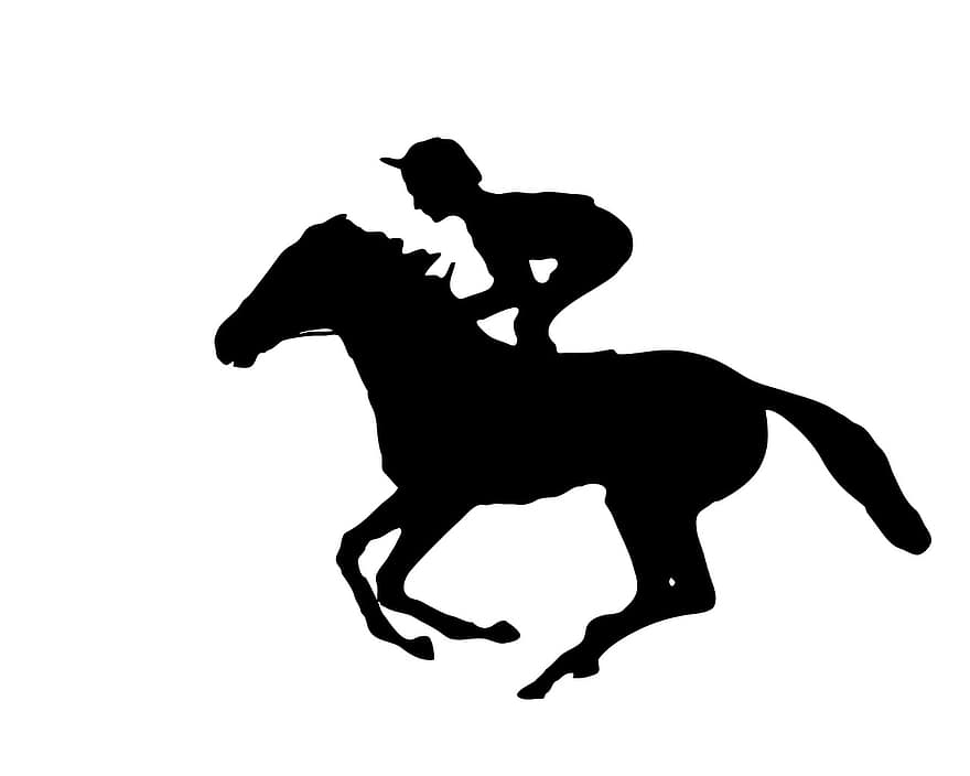 jockey, caballo, jinete del caballo, caballo de carreras, animal, ecuestre, jinete, lado de caballo, deporte, competencia, equitación