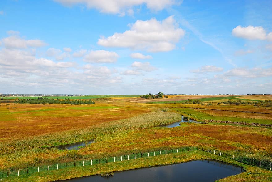 Field, Plain, Meadow, Pond, River, Sky, Clouds, Countryside, Season, Landscape, Water