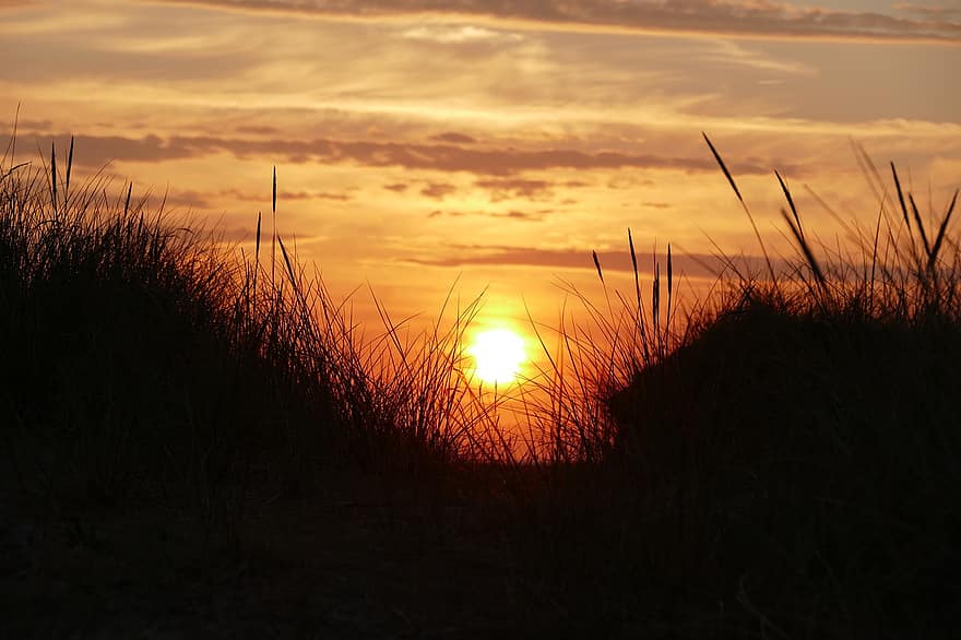 puesta de sol, Dom, hierba de dunas, hierba, oscuridad, noche, silueta, paisaje, naturaleza, Dinamarca, luz del sol