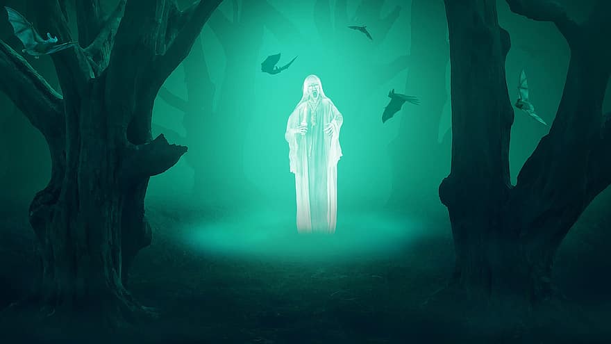 зелен, гора, нощ, мъгла, обесен, призрак, мистик, пътека, чрез, заклинание, магия