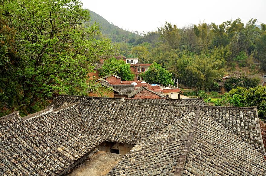 ēka, māja, jumta flīzes, bambusa mežs, ķīniešu, vecs, laukos