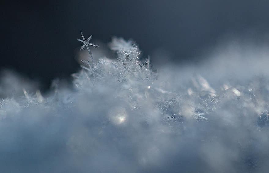 snaigės, ledo kristalai, žiemą, makro, sniegas, mėlyna, fonas, Iš arti, oras, sezoną, santrauka