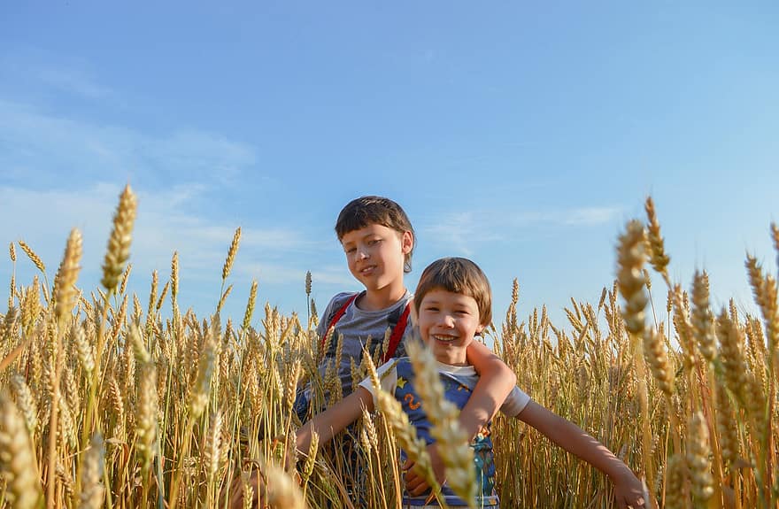 Дети, поле, пшеница, ржаной, летом, улыбки, природа, детка, счастливый, игры, развлекательная программа