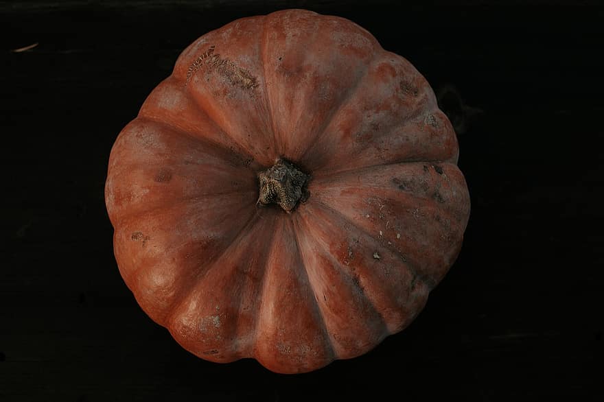 vegetable, autumn, harvest, pumpkin, halloween, october, gourd, agriculture, season, squash, close-up
