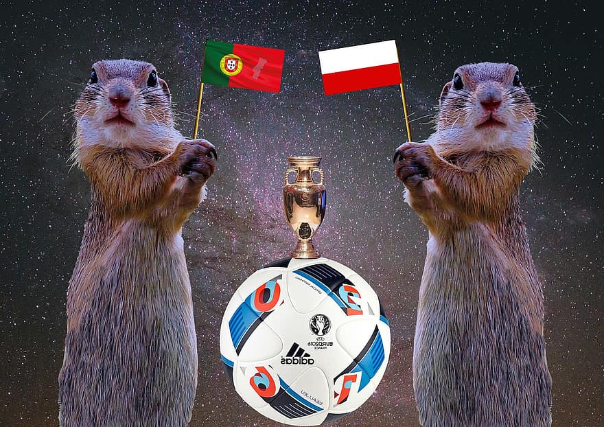 2016, Quarter-finals, Football, Em, National Colours, Flag, European Championship, Uefa European Football Championship, Tournament, Sport, Poland