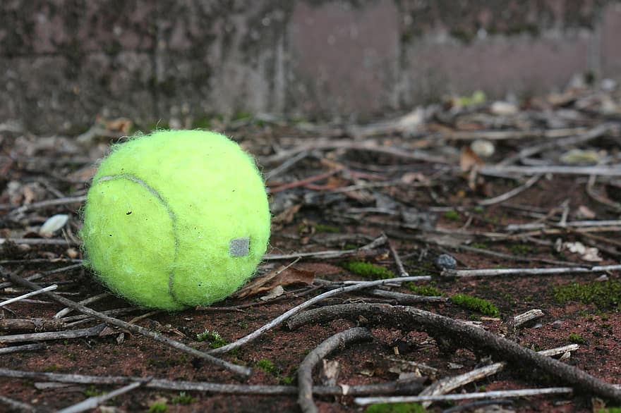 теніс, м'яч, земля, гілочки, тенісний м'яч, спорт, спортивний інвентар