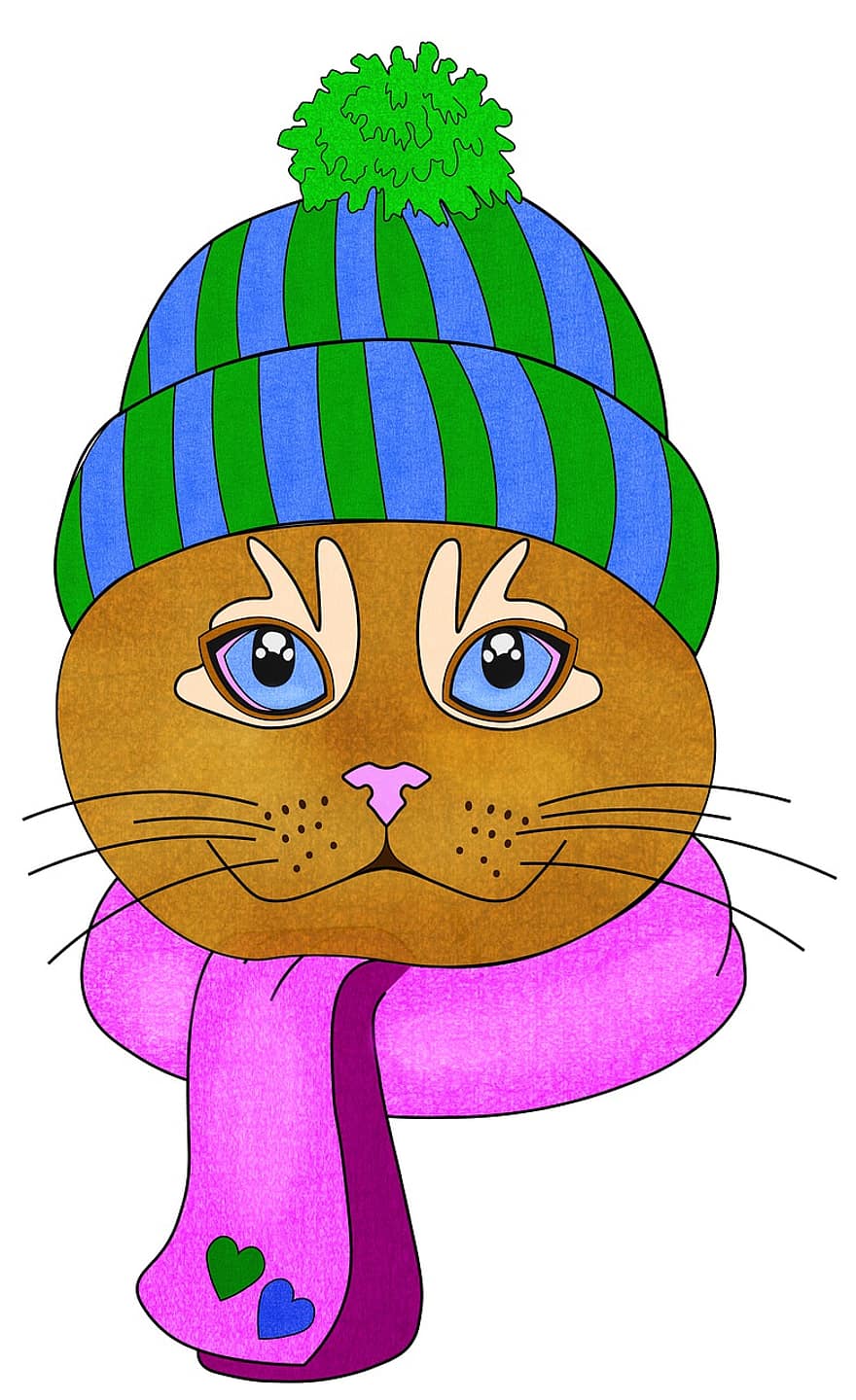 kaķis, ziemā, šalle, galvu, sejas, ūsas, dzīvnieku, zīdītāju, pet, auksts, gudrs