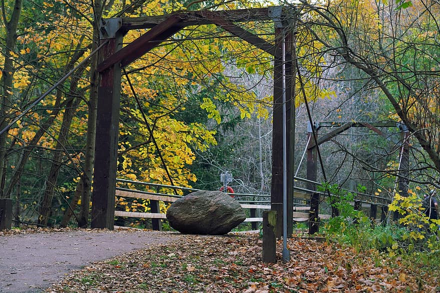 парк, мост, осень, природа, падать, дорожка, лист, дерево, лес, время года, желтый