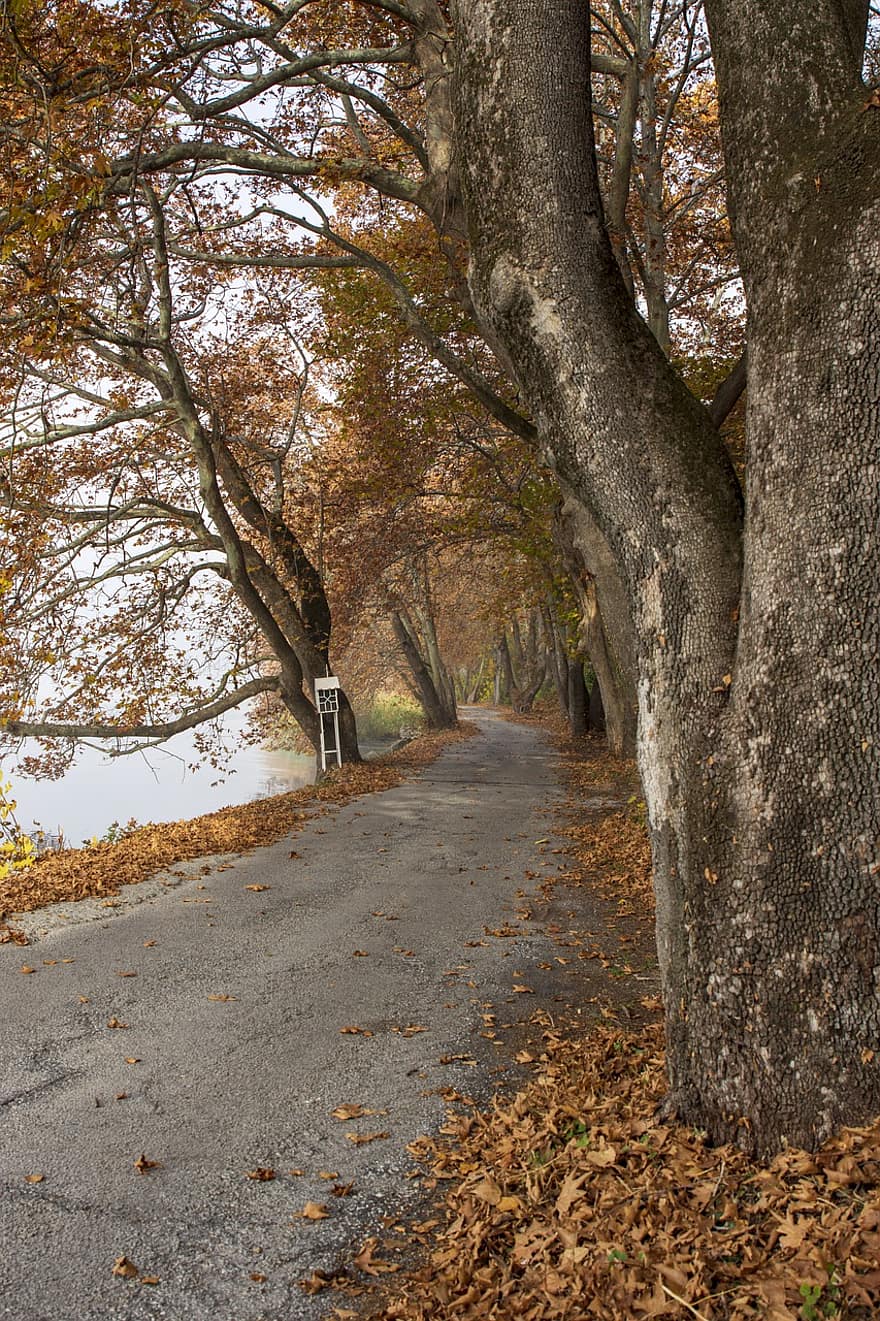 Griekenland, park, herfst, promenade, herfst seizoen, Kastoria, vallen, natuur