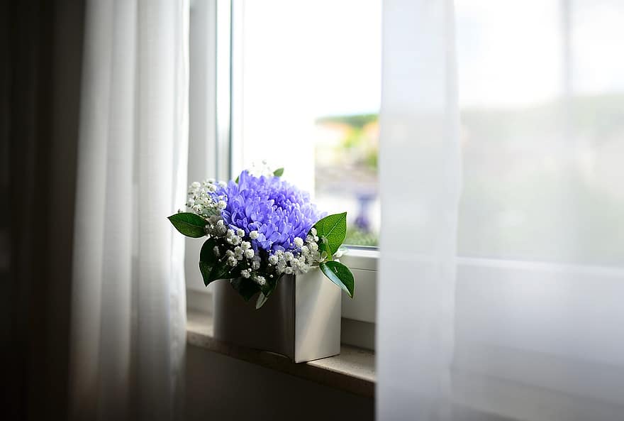 vas bunga, jendela, gorden, kamar, bunga ungu, dekoratif