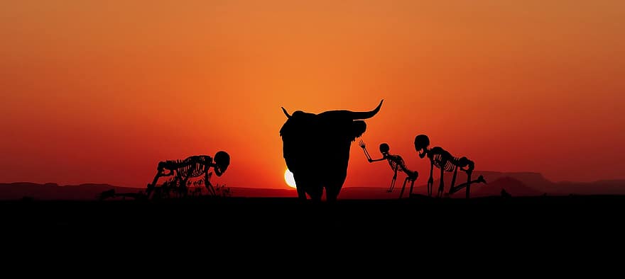 puesta de sol, esqueletos, vaca, silueta, horror, de miedo, horripilante