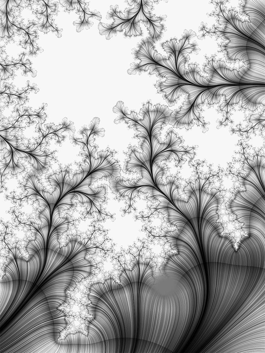 fractal, abstract, linia, flori, frunze, subiecți, fanned out, grafic