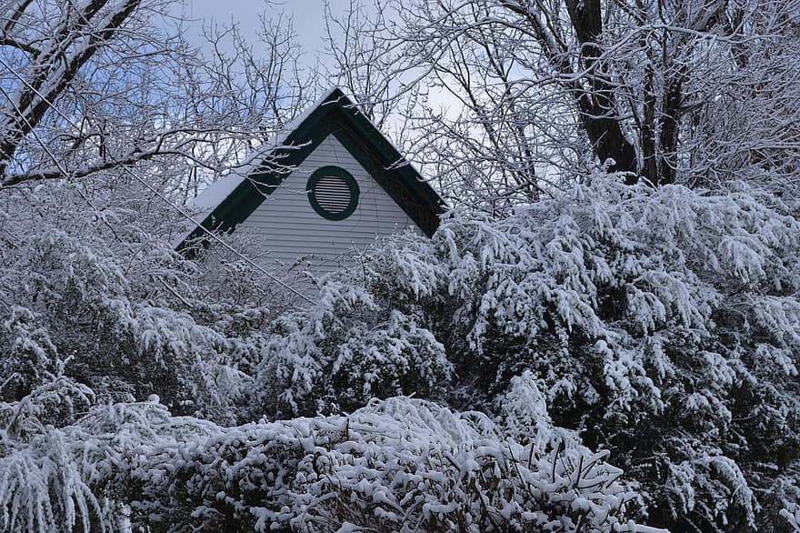 inverno, neve, Virgínia, natureza