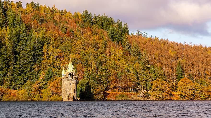 jesień, Jezioro Wyrnwy, zbiornik, Walia, Natura, las, drzewa, krajobraz, drzewo, żółty, woda