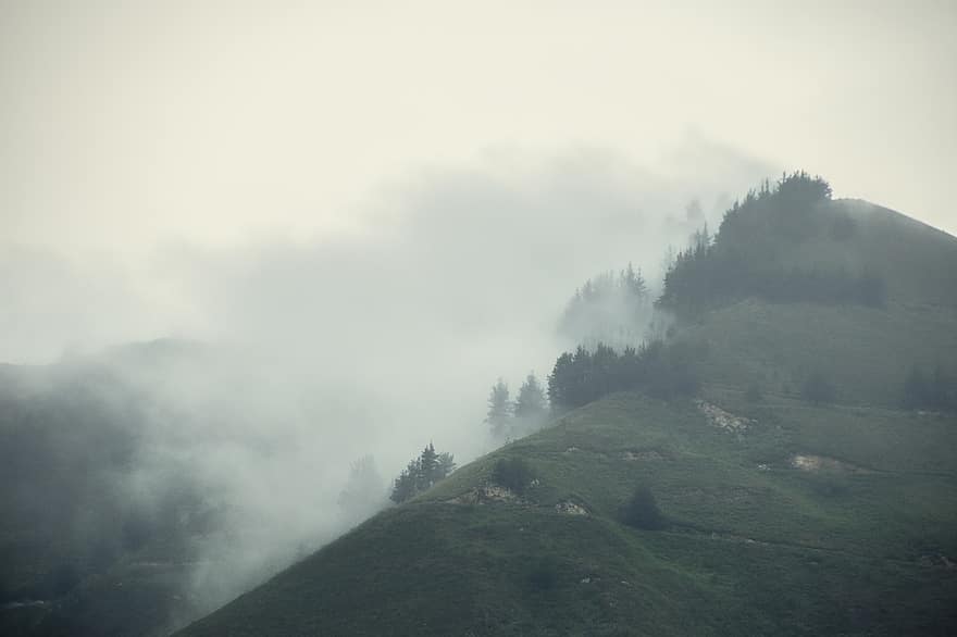 Natur, Nebel, draußen, Wanderung, Reise, Erkundung, Berg, Landschaft, Wald, Baum, ländliche Szene