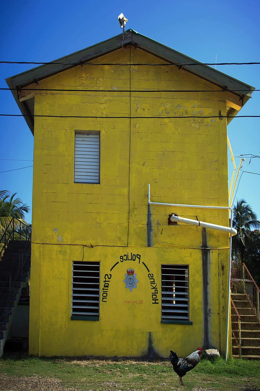 maison, bâtiment, village, coq, mur jaune, arrière-cour, Belize