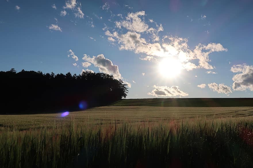 Nature, Field, Outdoors, Rural, Landscape, Bavaria, Germany, Meadow, Forest, Sun, Clouds