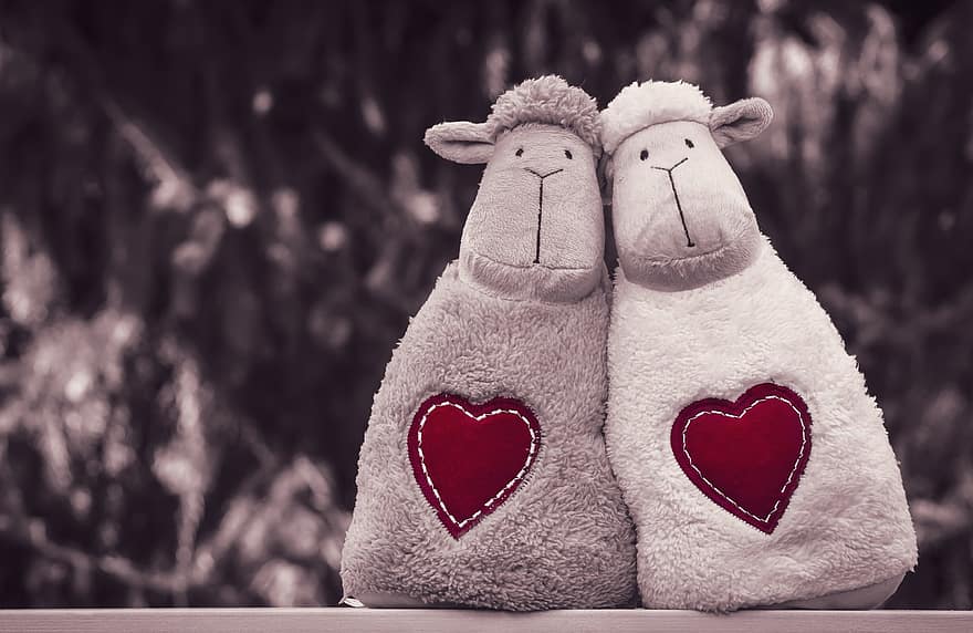 schapen, knuffels, speelgoed, paar-, liefde, hart-, Valentijnsdag, schattig, samen, vriendschap