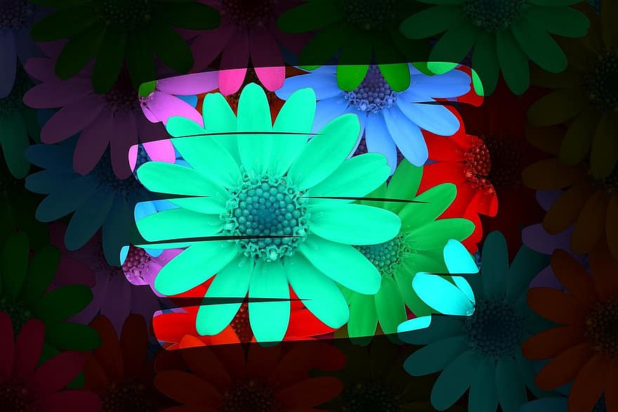 achtergrond afbeelding, bloem