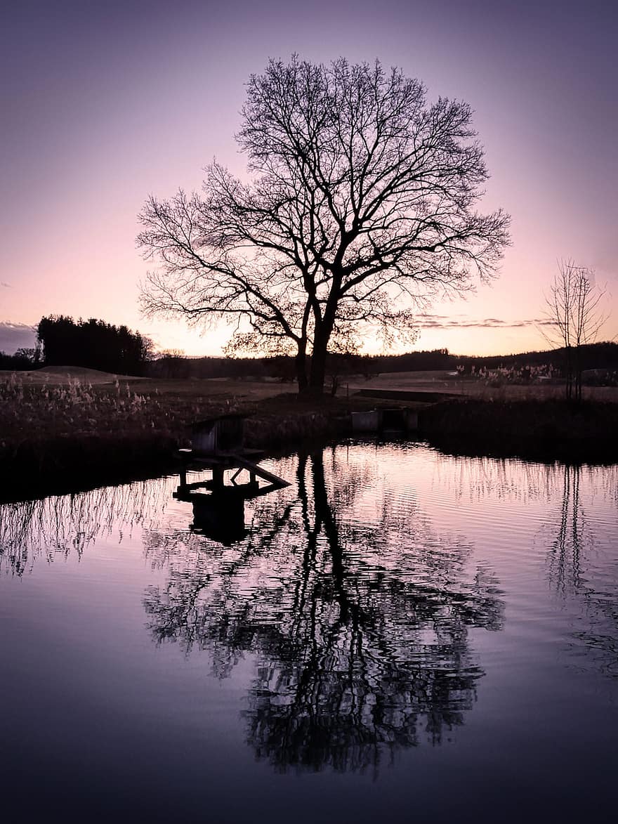 Pond, Lake, Water, Tree, Reflection, Eve, Dusk, Nature, sunset, landscape, silhouette