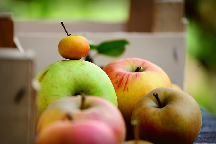 äpplen, färska äpplen, frukt, färska frukter, producera, skörda, organisk, Organiska äpplen, hälsosam, skillnad, mångfald