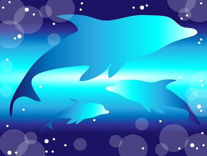 Dauphins dans l'eau, nage avec les dauphins, Océan sous l'eau, dauphin, plongée, mer, animal, nager, sous-marin, eau, ensemble