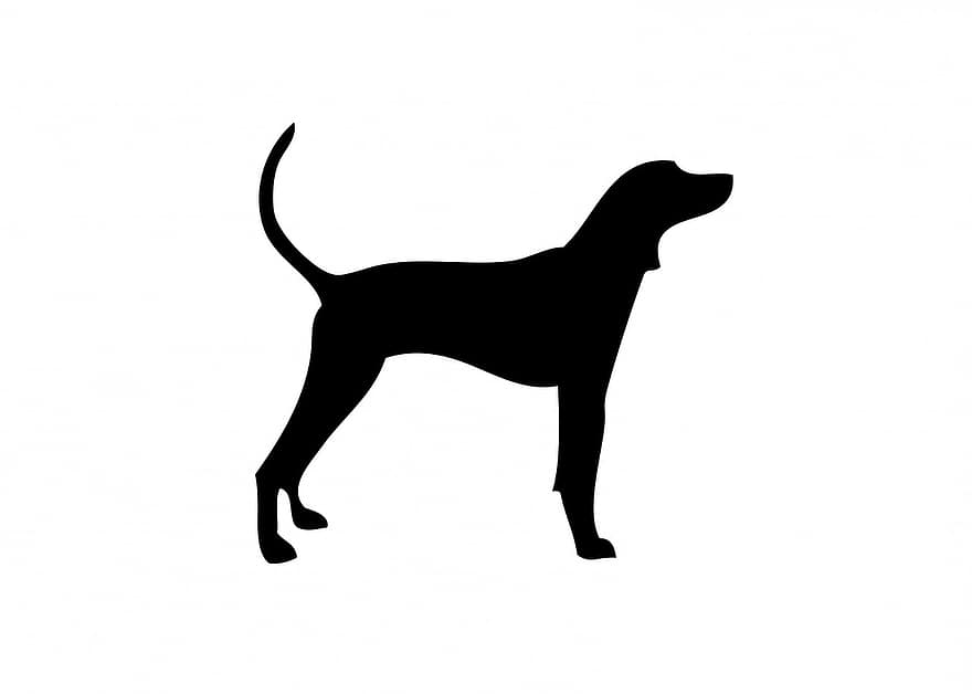 perro, Coonhound, animal, canino, mascota, negro, silueta, Art º, forma, contorno, blanco