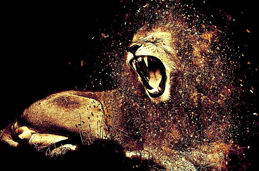 oroszlán, sörény, ordít, nagy macska, ragadozó, vadmacska, aranysárga, állat, vadvilág, agresszív