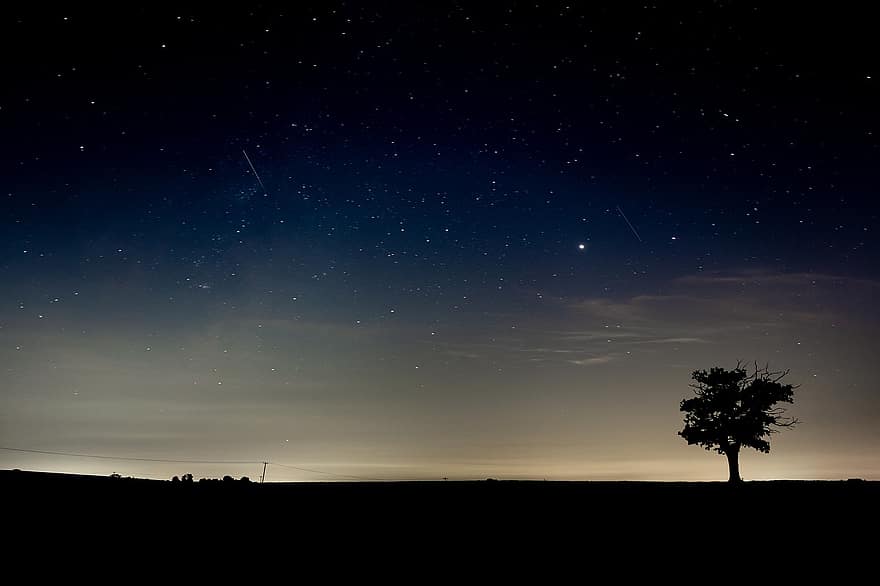 nakts debesis, siluets, vientuļš koks, debesis naktī, zvaigznes, Visumu, galaktika, naktī, ainavu, astronomija, piena ceļš