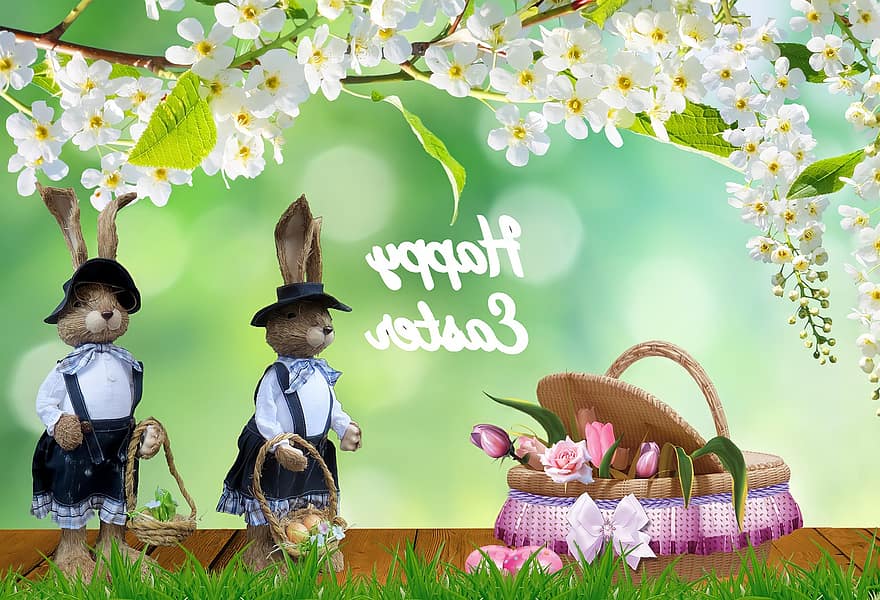 Paști, iepurași de iepure, fundal de Paște, flori, primăvară, iarbă, floare, drăguţ, celebrare, sezon, decor