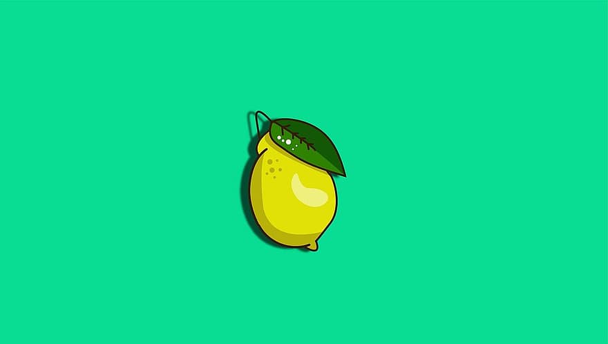 citrón, ovoce, výkres, skica