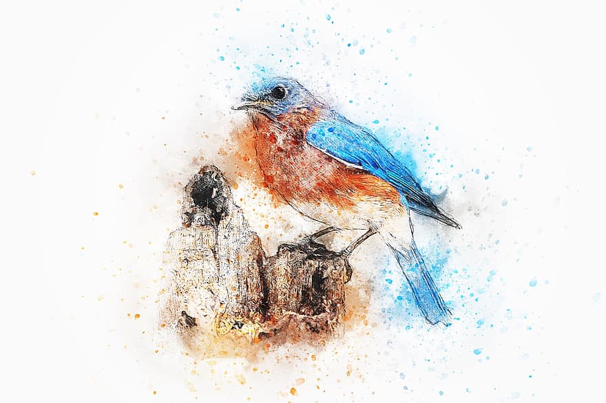pájaro, color, plumas, Art º, resumen, acuarela, animal, vendimia, primavera, naturaleza, artístico