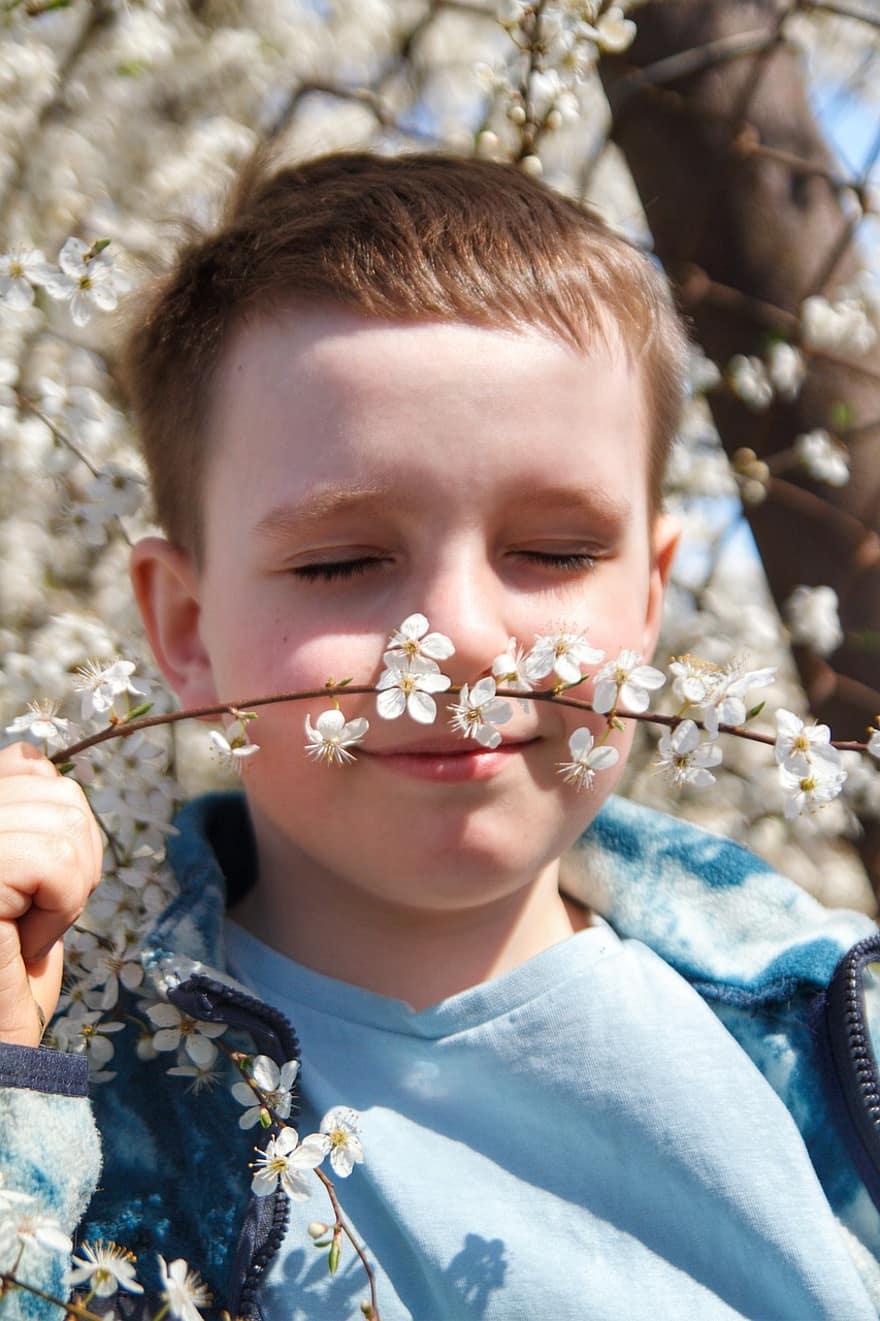 білі квіти, маленький хлопчик, дитина, кавказька, весна, квітуче дерево, цвіте, природи, хлопчики, квітка, посміхається