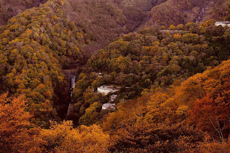 Příroda, podzim, sezóna, venku, údolí, hora, žlutá, strom, list, les, krajina