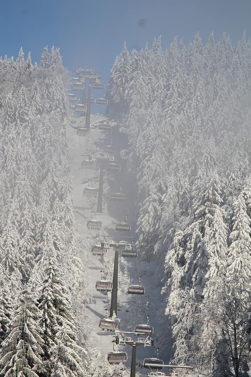 ziemā, slēpošana, krēslu pacēlājs, sniegs, ceļot, sezonā, mežs, kalns, ainavu, sportu, slēpošanas trase