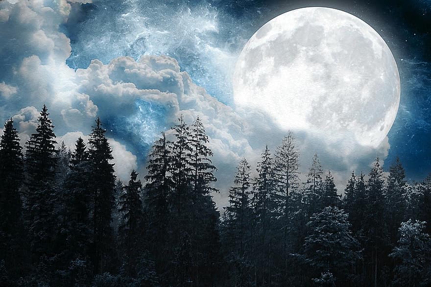 des arbres, forêt, lune, pins, fantaisie, des nuages, nuit, pleine lune, les bois, paisible, calme