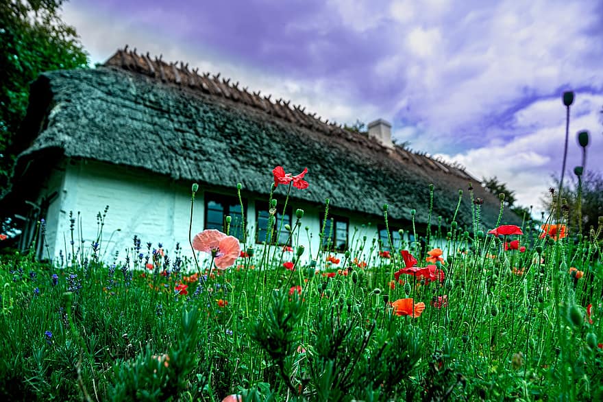 Old House, The Landscape, Architecture, Thatched Roofs, Landscape, Flowers, Thatched Roof, High House
