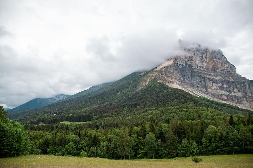 Col Du Granier, berg, träd, landskap, moln, skog, dimma, sommar, savoie, frankrike, natur