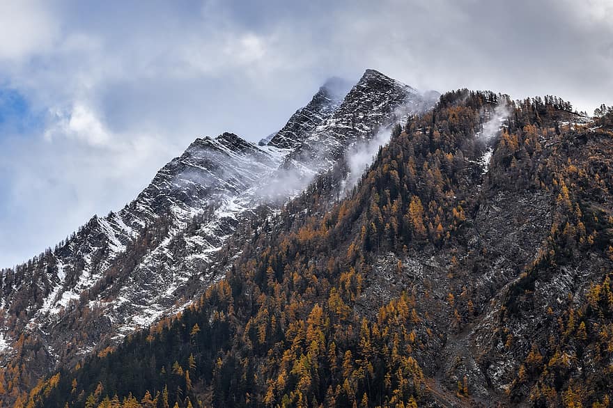 kalnai, medis, sniegas, miškas, eglės, Alpės, Italija, kelionė, pobūdį, žiemą