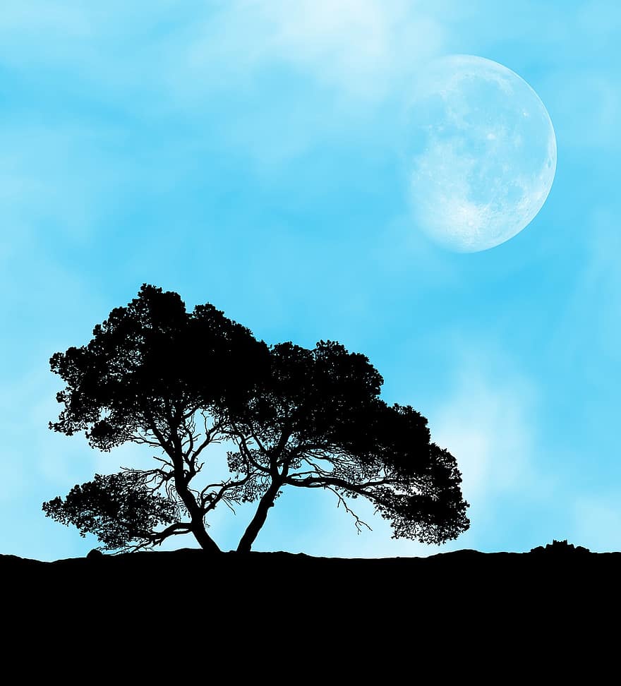 raksturs, mēness, koks, ārā, satelītu, debesis, jomā, siluets, naktī, mēness gaisma, zils