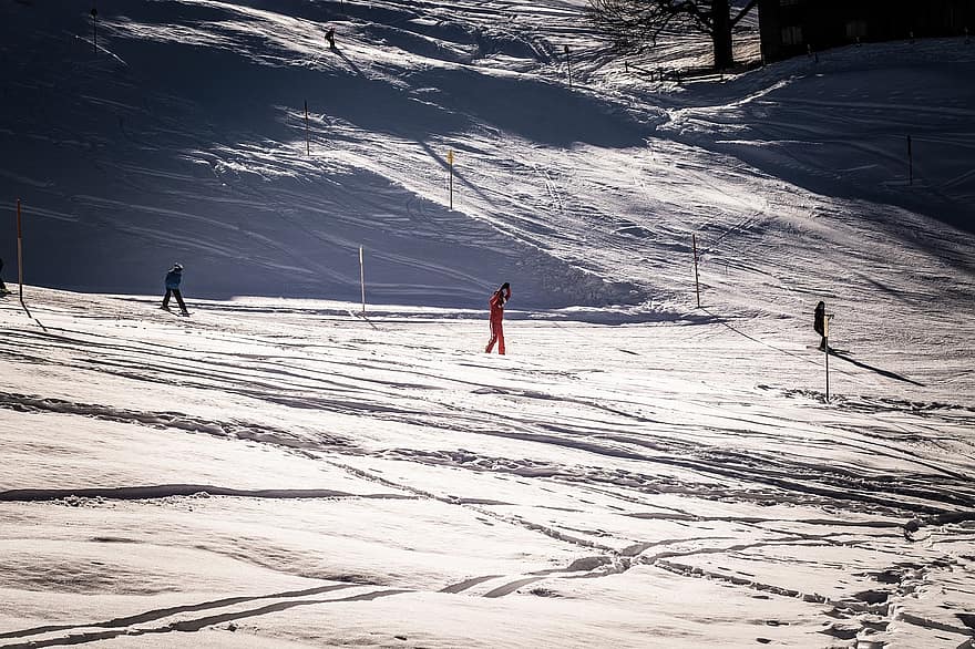 slēpošanas trase, piste, sniegs, ziemā, ziemas sporta veidi